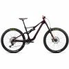Orbea RALLON M20 Metallic Mulberry (Gloss-Matt)