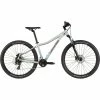 Cannondale Trail Womens 8 - Sage Gray