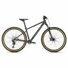 Focus Whistler 3.9 Diamondblack
